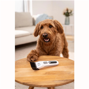 Beurer Fluffy, balta - Trimmeris mājdzīvnieku apmatojuma kopšanai