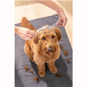 Beurer Fluffy, balta - Trimmeris mājdzīvnieku apmatojuma kopšanai