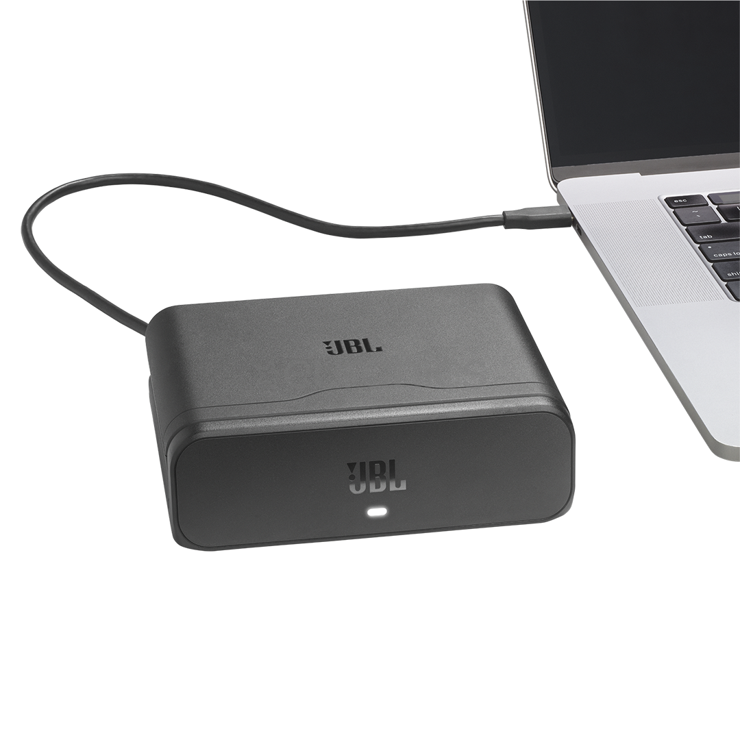 JBL Battery 600 Duo with Charging Case - Запасной аккумулятор
