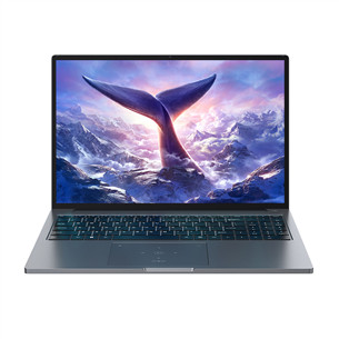 BlackView GamiBook 8, 16'', WUXGA, Ryzen 7, 32 GB, 1 TB, W11P, ENG, pelēka - Portatīvais dators 6931548324164