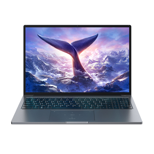BlackView GamiBook 8, 16'', WUXGA, Ryzen 7, 32 GB, 512 GB, W11P, ENG, starry gray - Notebook 6931548324164