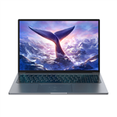 BlackView GamiBook 8, 16'', WUXGA, Ryzen 7, 32 GB, 1 TB, W11P, ENG, pelēka - Portatīvais dators