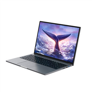 BlackView GamiBook 8, 16'', WUXGA, Ryzen 7, 32 ГБ, 1 ТБ, W11P, ENG, серый - Ноутбук