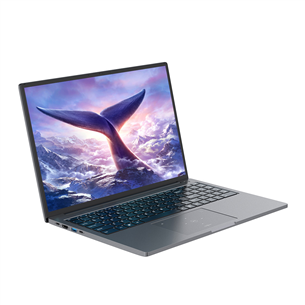 BlackView GamiBook 8, 16'', WUXGA, Ryzen 7, 32 ГБ, 1 ТБ, W11P, ENG, серый - Ноутбук