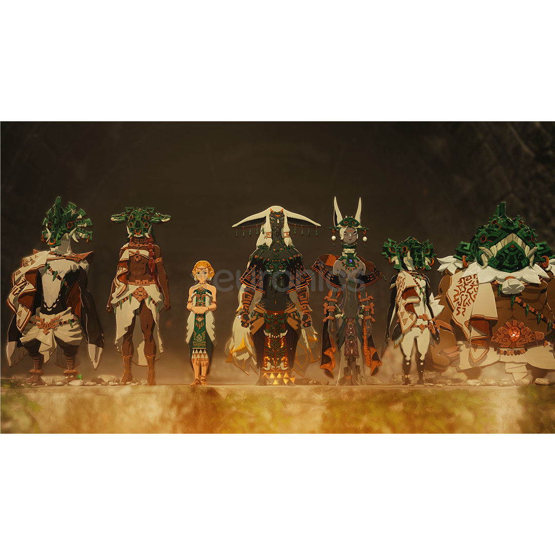 Hyrule Warriors: Age of Imprisonment, Nintendo Switch 2 - Spēle