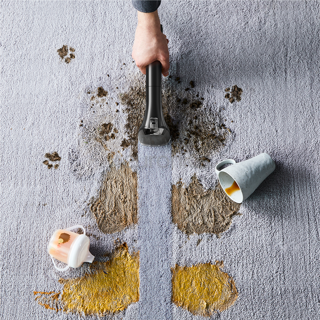 Tefal Clean It Compact, green - Carpet cleaner