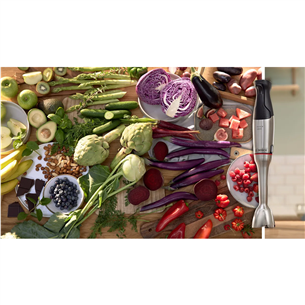 Bosch ErgoMaster, Series 6, 1200 W, nerūsējošā tērauda - Rokas blenderis