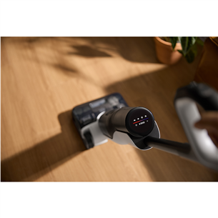 Roborock F25 ACE, Wet & Dry, black - Cordless vacuum cleaner