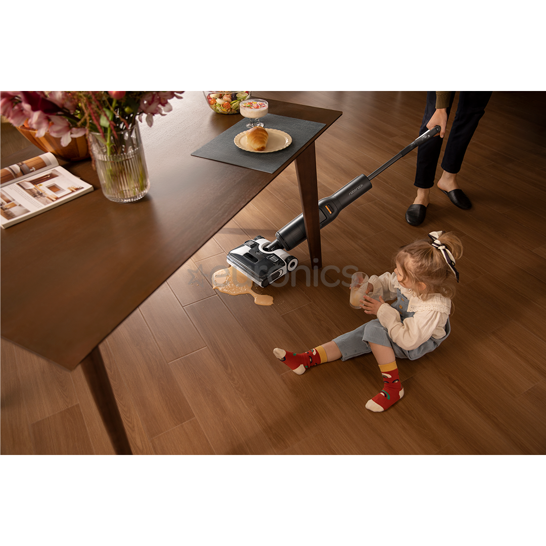 Roborock F25 ACE, Wet & Dry, black - Cordless vacuum cleaner
