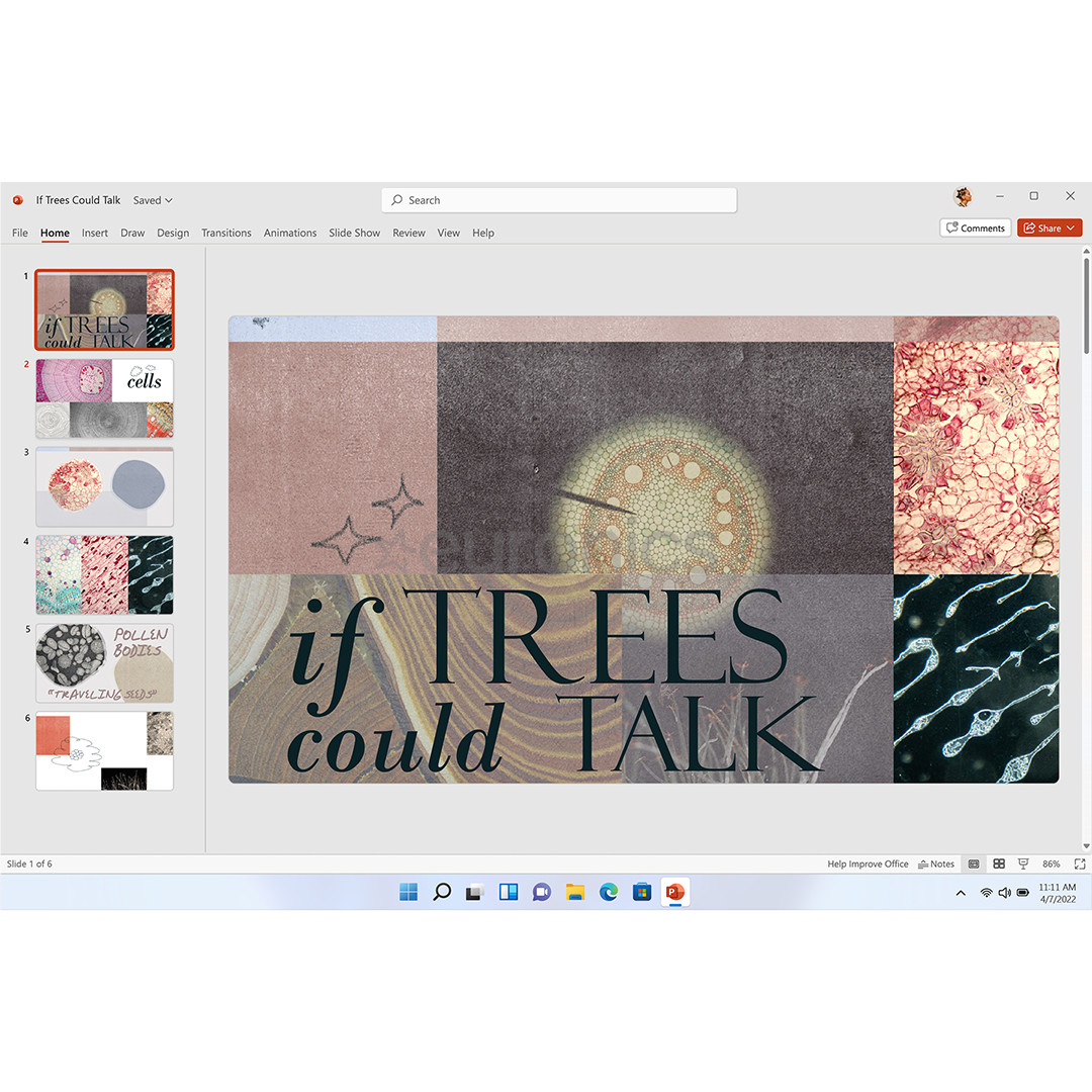 Microsoft 365 Personal, 12-month subscription, 1 user / 5 devices, 1 TB OneDrive, ENG - Software