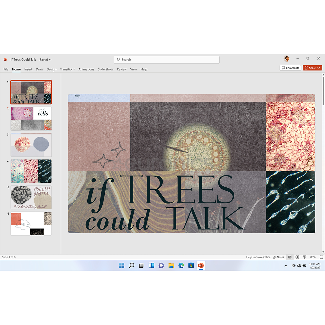 Microsoft 365 Personal, подписка на 12 месяцев, 1 пользователь / 5 устройств, 1 ТБ OneDrive, ENG - Программное обеспечение