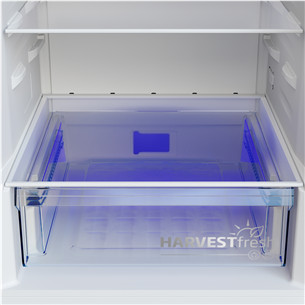 Beko, NoFrost, 301 L, augstums 180 cm, pelēka - Ledusskapis