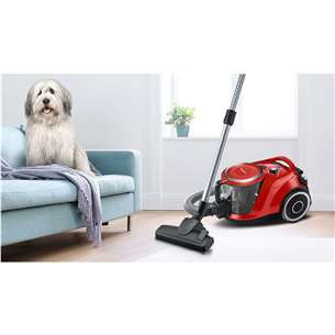 Bosch, Series 6, ProAnimal, 700 W, bez maisiņa, sarkana - Putekļu sūcējs