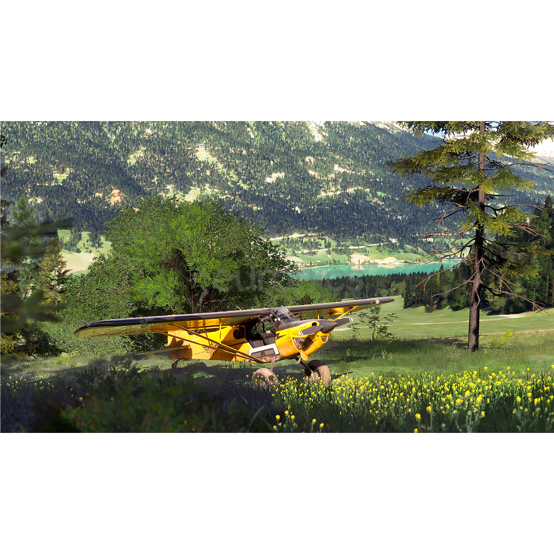 Microsoft Flight Simulator 2024, PlayStation 5 - Game