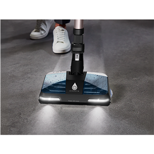 Tefal X-Force Flex 16.60, Wet & Dry, pink/black - Cordless vacuum cleaner