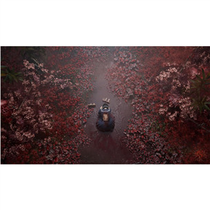 Silent Hill f Day One Edition, Xbox Series X - Spēle