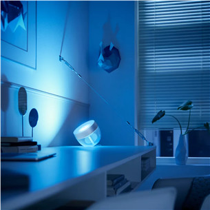 Philips Hue Iris, Special Edition, серебристый - Светодиодная лампа