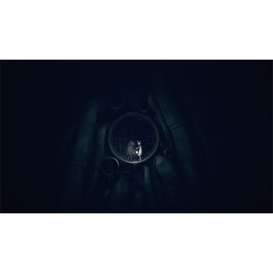 Reanimal, Nintendo Switch 2 - Spēle
