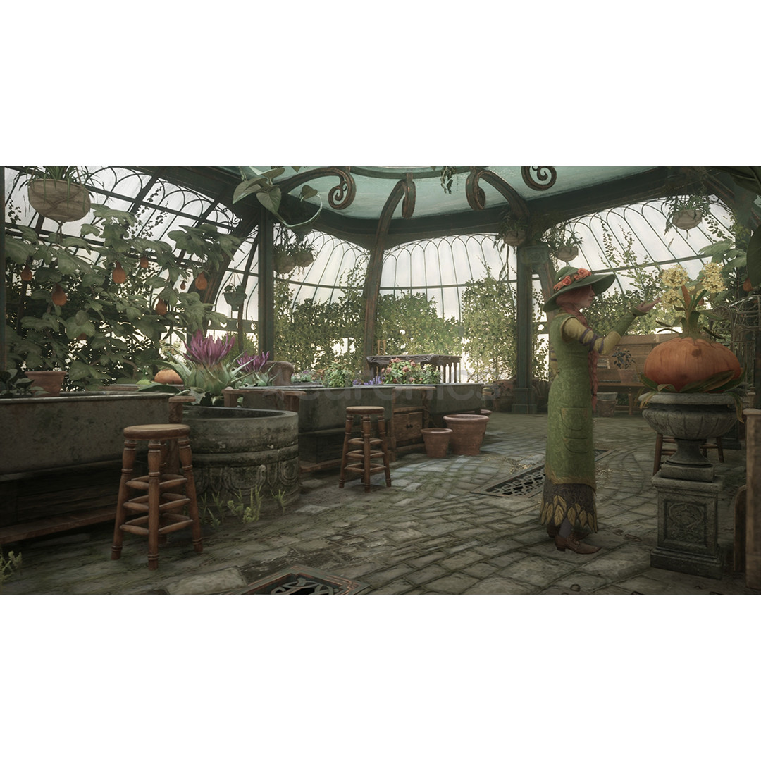 Hogwarts Legacy, Nintendo Switch 2 - Игра