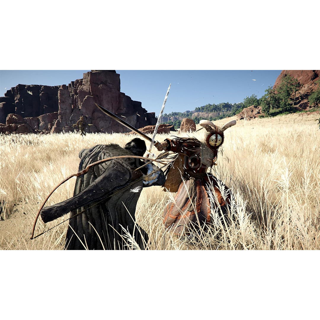 Crimson Desert, PlayStation 5 - Игра