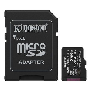 Kingston Canvas Select Plus, UHS-I, microSD, 256 GB, melna - Atmiņas karte SDCS3/256GB