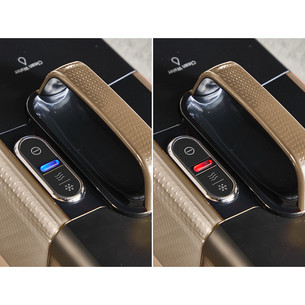 Tefal Clean It Hot & Cold, black/copper - Carpet cleaner