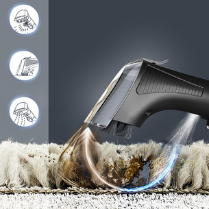 Tefal Clean It Hot & Cold, black/copper - Carpet cleaner