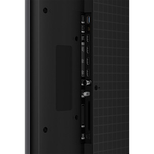 TCL C7L, 65'', 4K UHD, SQD-Mini LED, black - TV