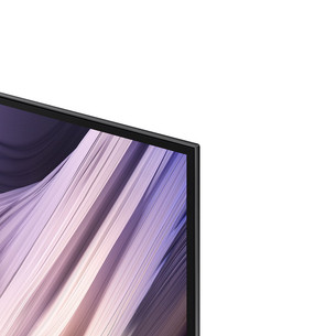 Samsung S95H 48'', 4K UHD, OLED, graphite black - TV