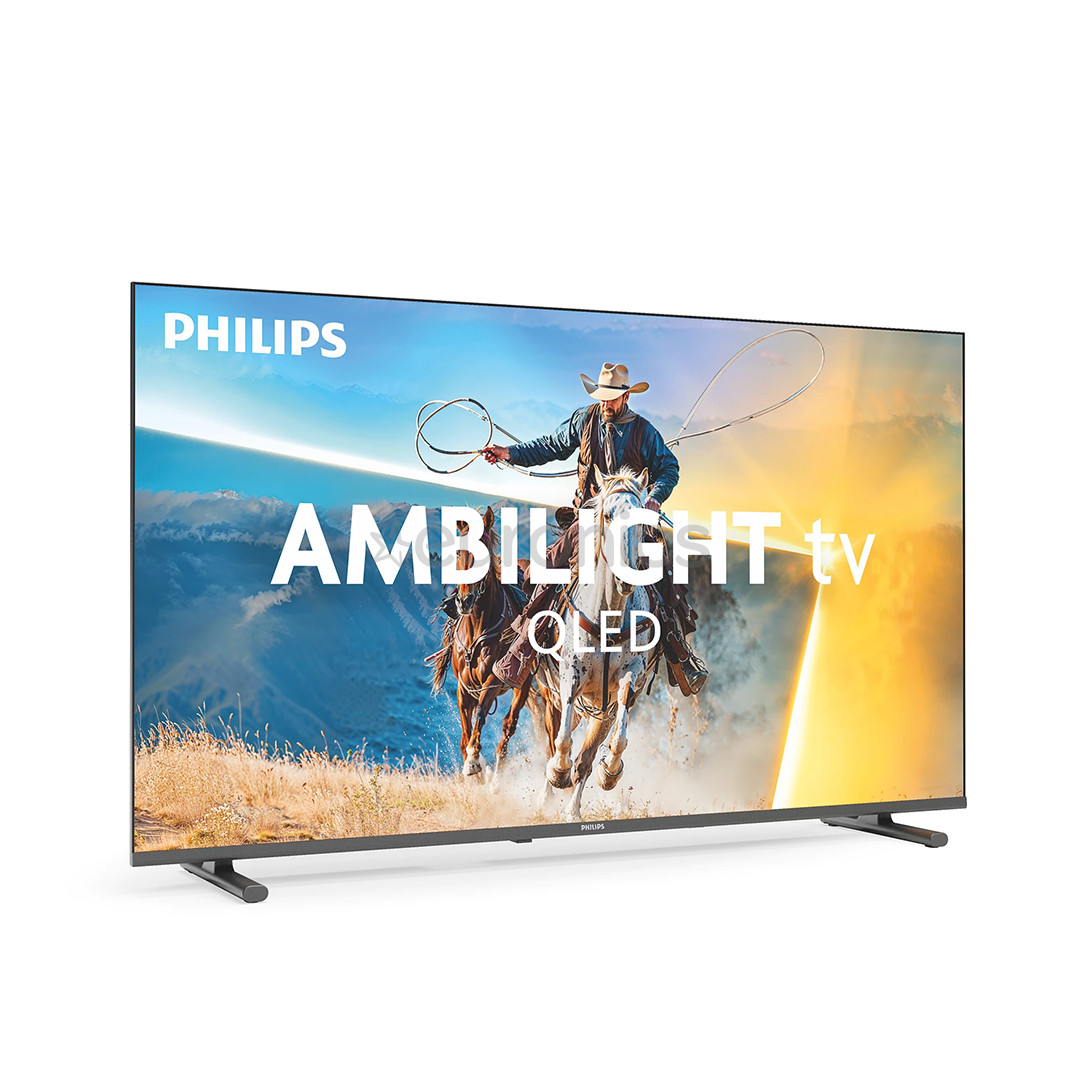Philips PQS6901, 32'', QLED, Full HD, черный - телевизор