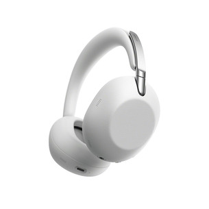 Sony 1000X The Collexion, platinum - Wireless headphones