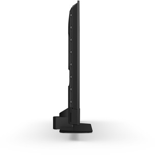 Philips The One PQS9011, 43'', 4K UHD, QLED, black - TV