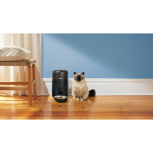 Philips 3000 Series, melna - Viedā mājdzīvnieku barotava