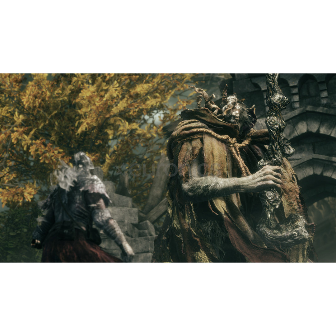 Elden Ring Tarnished Edition, Nintendo Switch 2 - Spēle