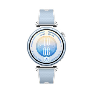 Huawei Watch GT7, 41 mm, nerūsējošā tērauda / zila - Smart watch 55020JTY