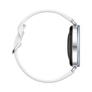 Huawei Watch GT7, 41 mm, nerūsējošā tērauda / zila - Smart watch
