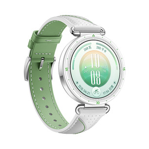 Huawei Watch GT7, 41 mm, nerūsējošā tērauda / balta - Smart watch