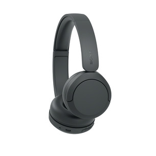 Sony WH-CH530, black - Wireless headphones