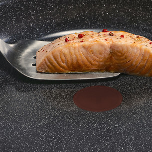 Tefal Expertise Ceramic, 24 cm, melna - Panna cepšanai