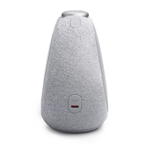 JBL HORIZON 3, gray - Clock radio