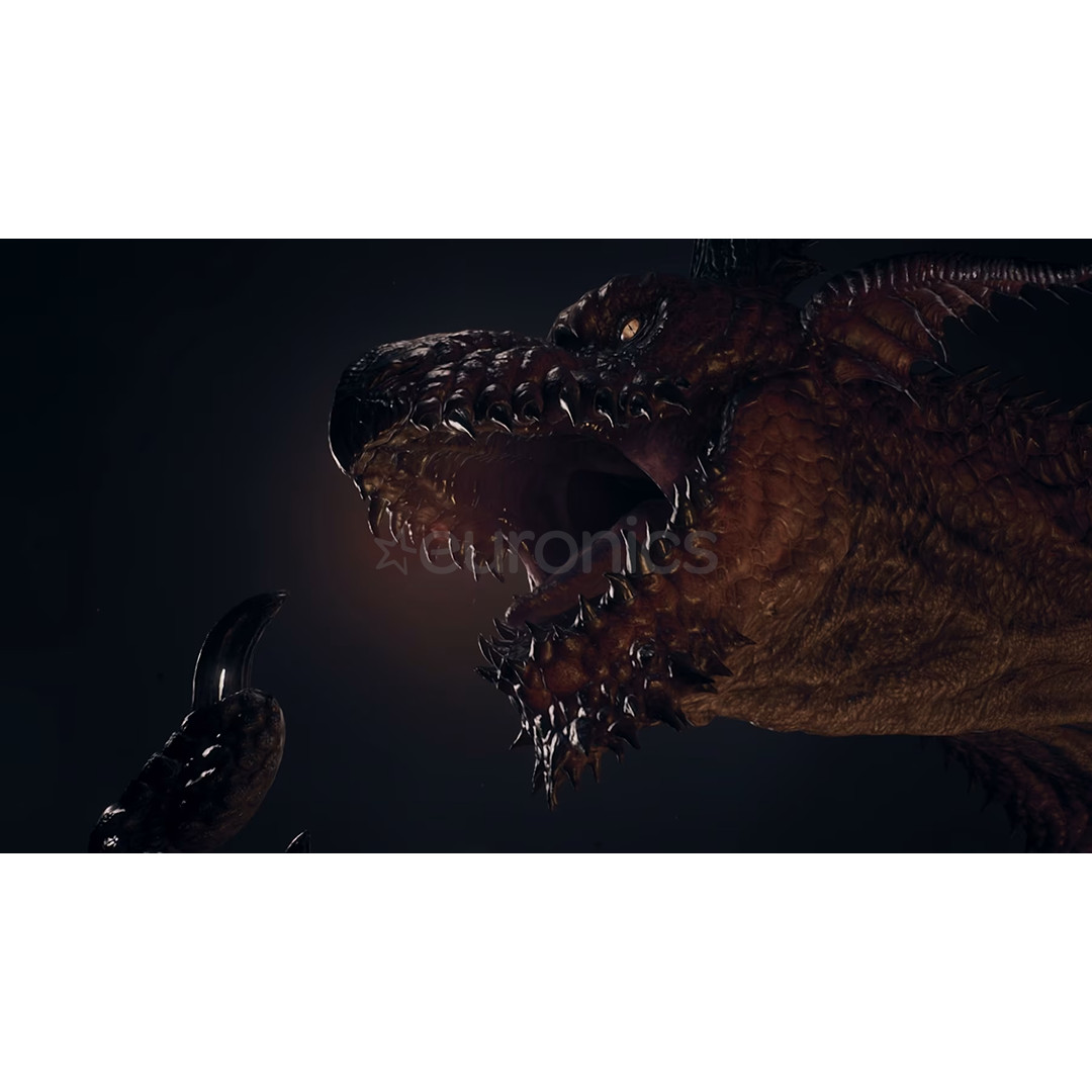 Dragon's Dogma 2: Dark Arisen, Nintendo Switch 2 - Spēle