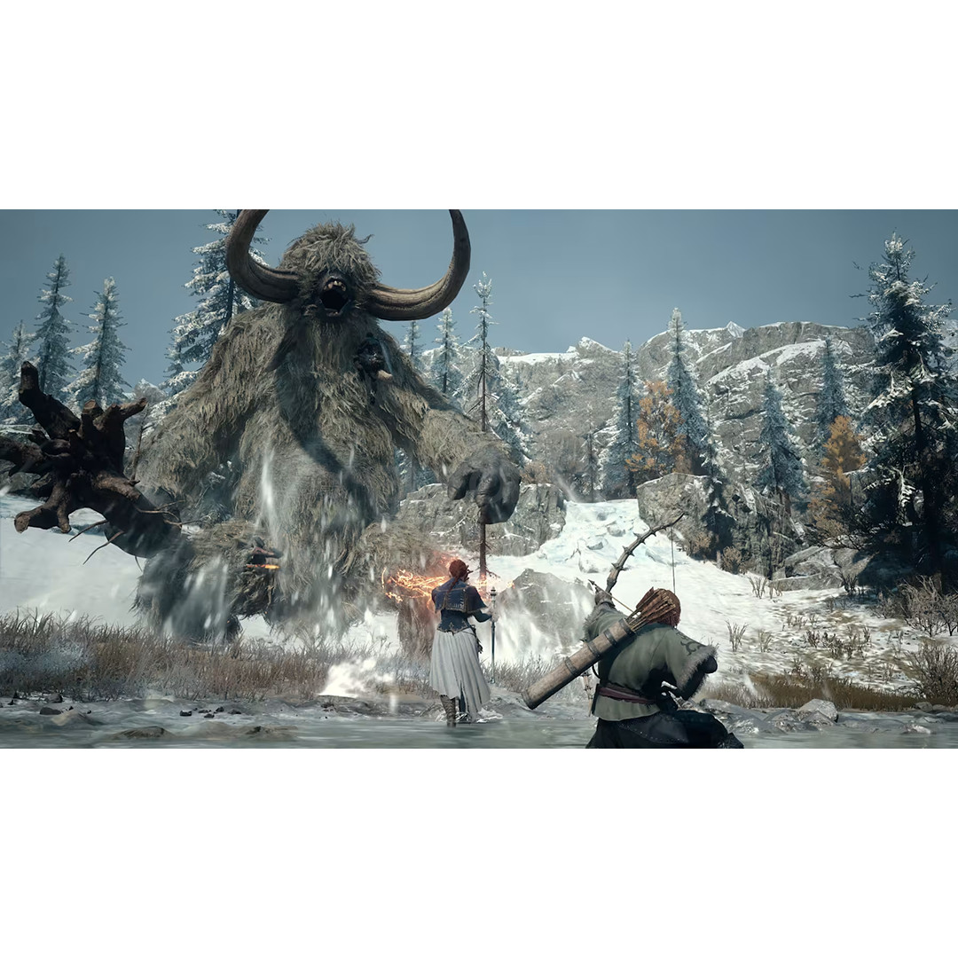 Dragon's Dogma 2: Dark Arisen, Nintendo Switch 2 - Spēle