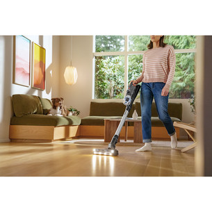 Bisselll PowerClean FurFinder Pro, black/silver - Cordless vacuum cleaner