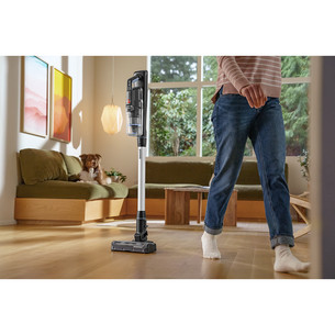 Bisselll PowerClean FurFinder Pro, black/silver - Cordless vacuum cleaner