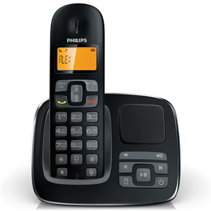 Radiotelefons, Philips