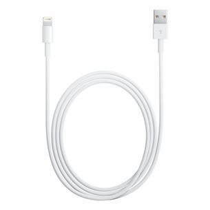 Lightning to USB cable Apple