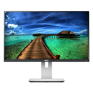 24" Full HD LED IPS-monitor, Dell