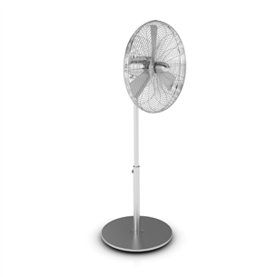 Fan Charly New, Stadler