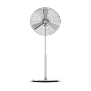 Fan Charly New, Stadler