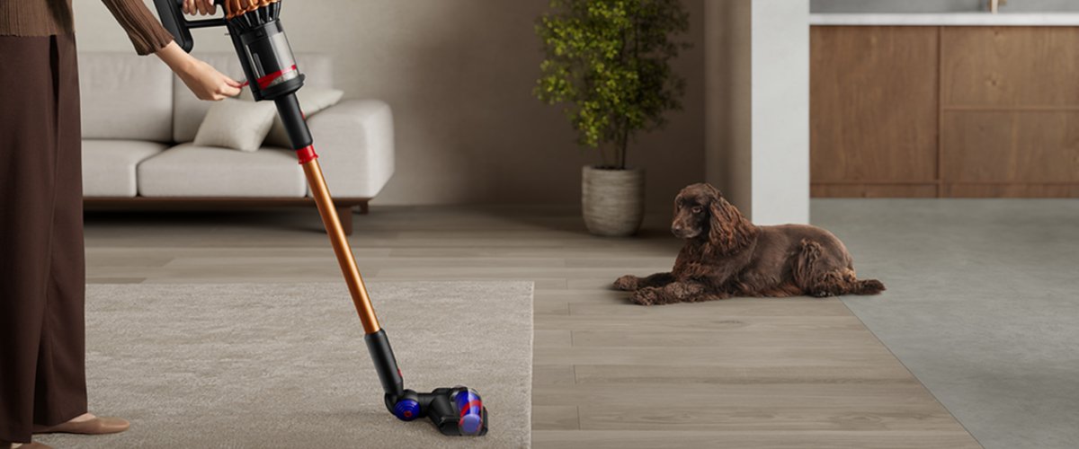Ar Dyson V16 Piston Animal bezvadu kāta putekļsūcēju tiek tīrīts paklājs viesistabā, kamēr suns mierīgi guļ uz grīdas netālu